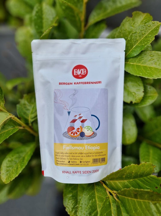 BKB - Fjellsmau Etiopia, Yirgacheffe