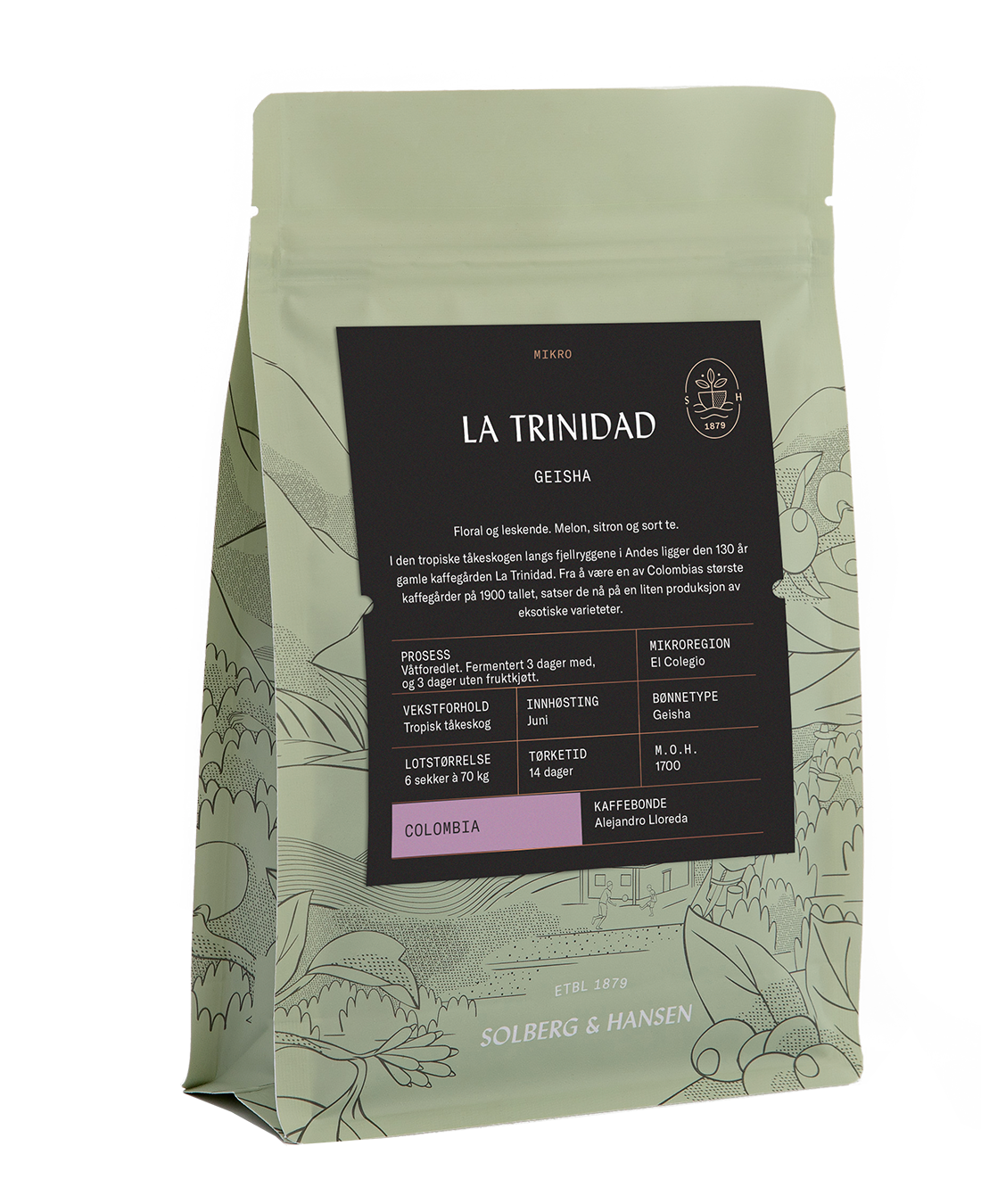 S&H - La Trinidad - Geisha. 30% rabatt