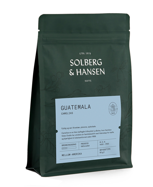 S&H - Guatemala, Camelias