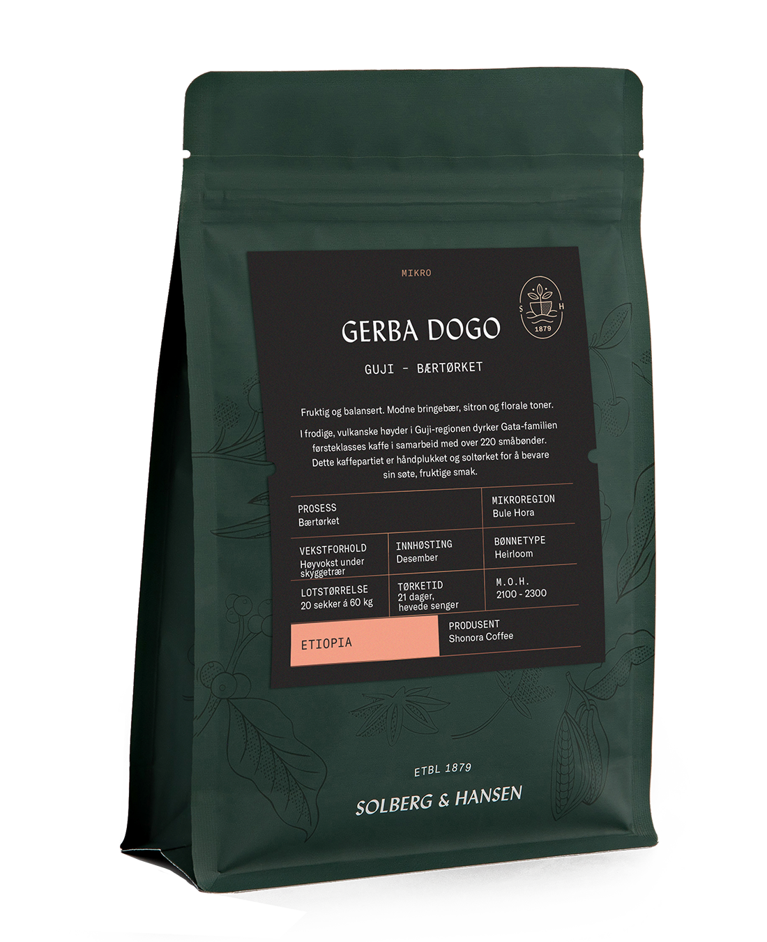 S&H Gerba Dogo - Guji, Etiopia